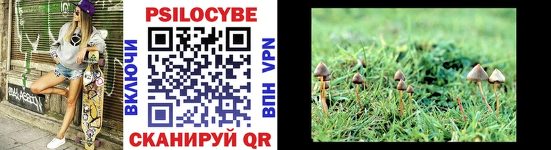 Галлюциногенные грибы Psilocybine cubensis  blacksprut ONION  Саки 